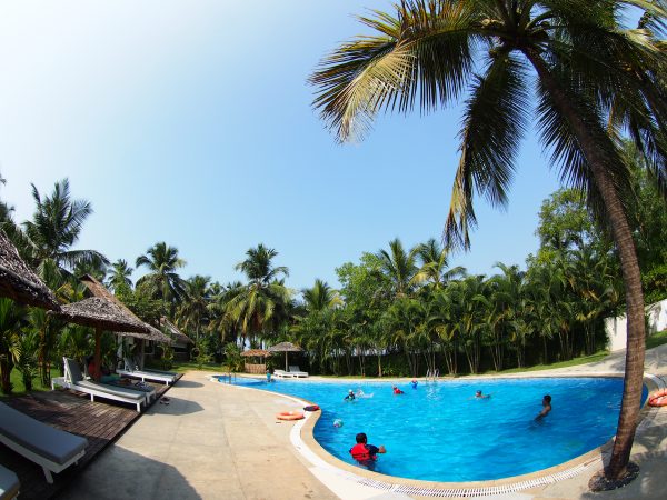 プールサイドでの観測も可能