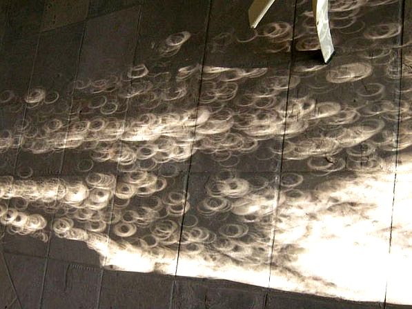 木漏れ日の観察も楽しみ