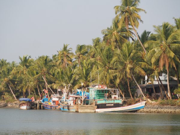 バックウォータークルーズ(ナイルズワー)